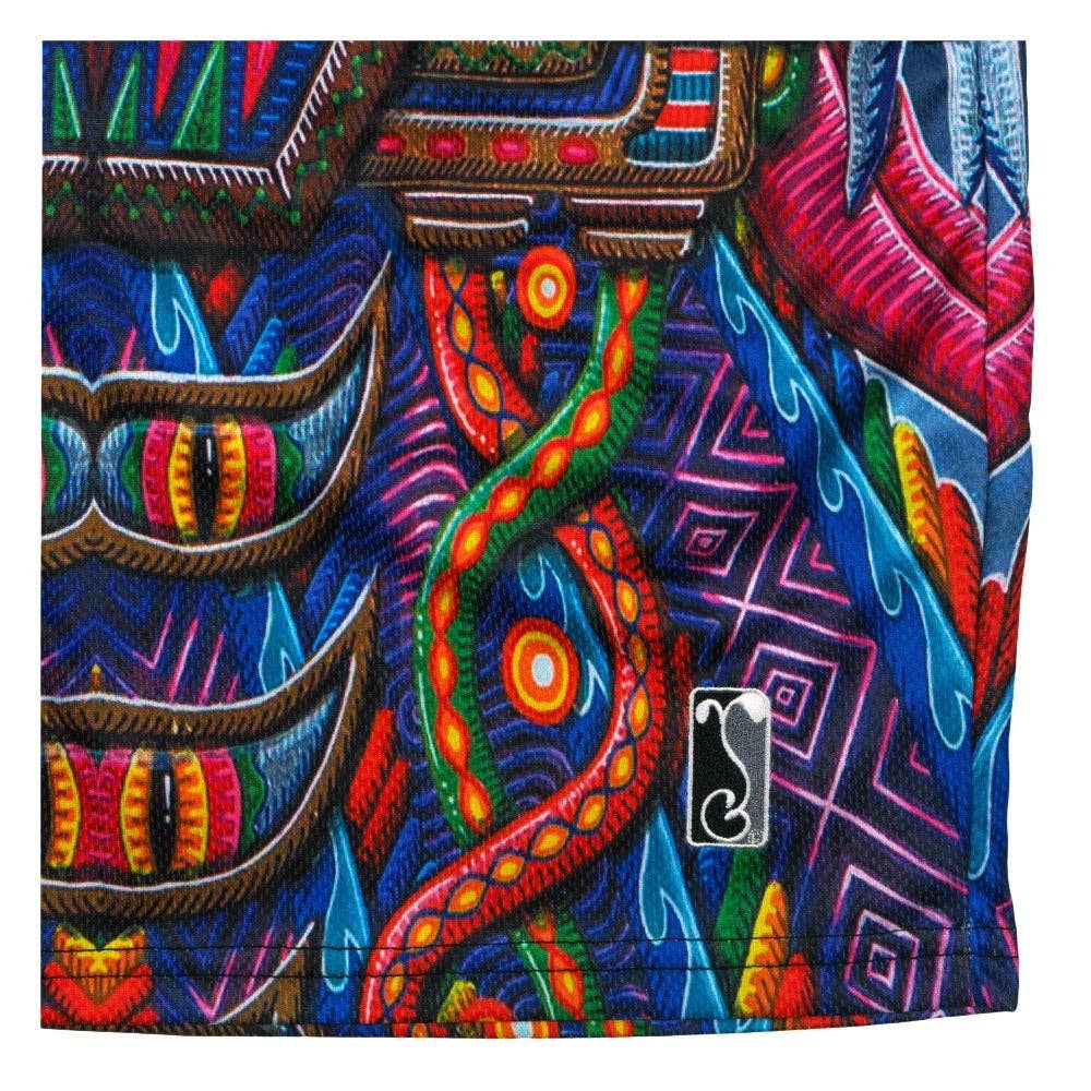 Chris Dyer Freesponsable Rainbow Mesh Shorts: Multi / Mesh Shorts / S