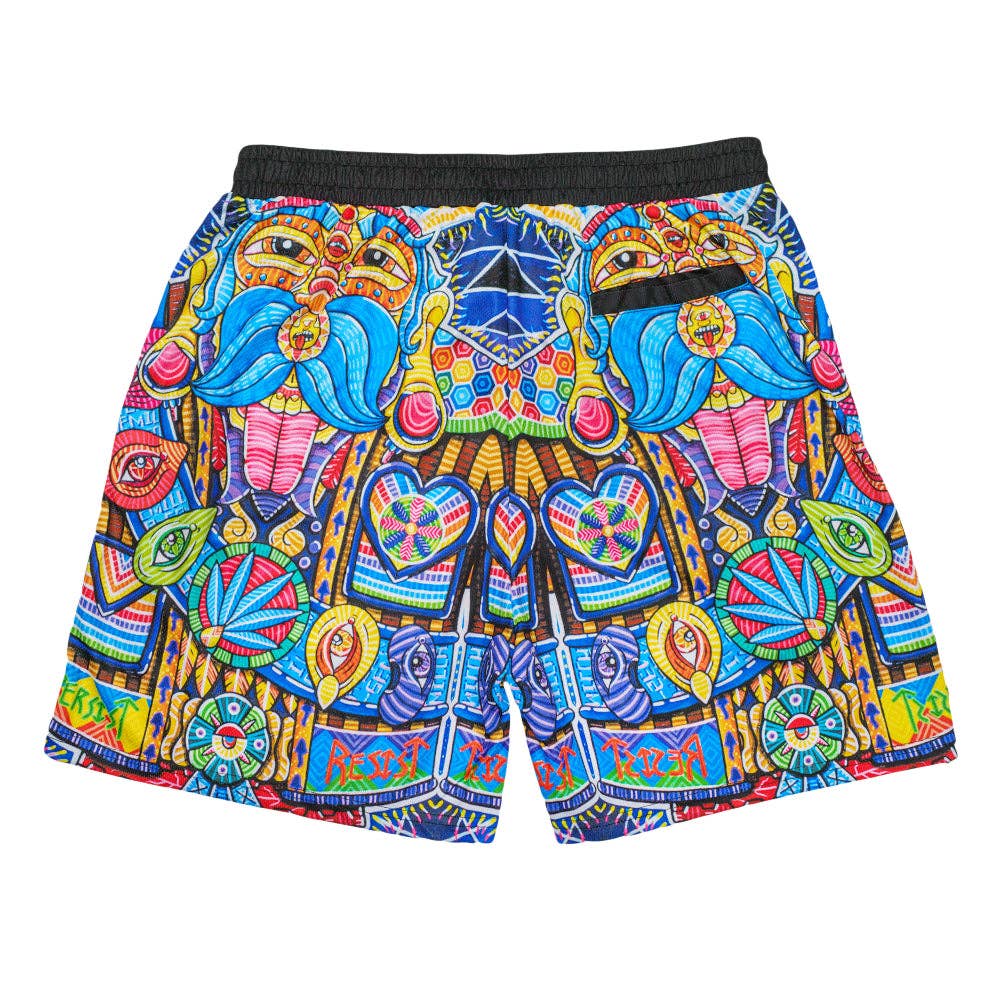 Max Paularena Spirited Revolution Mesh Shorts: Multi / Mesh Shorts / L