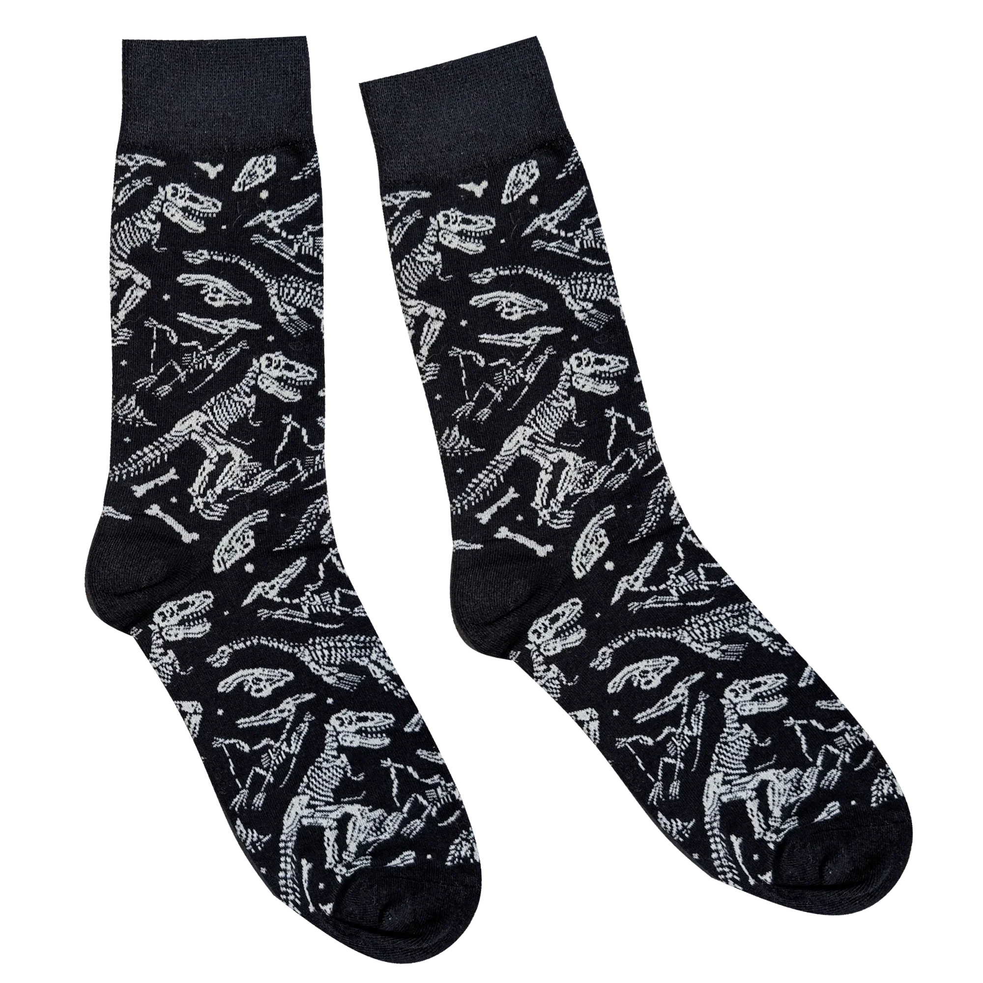 Dinosaur Fossil Socks