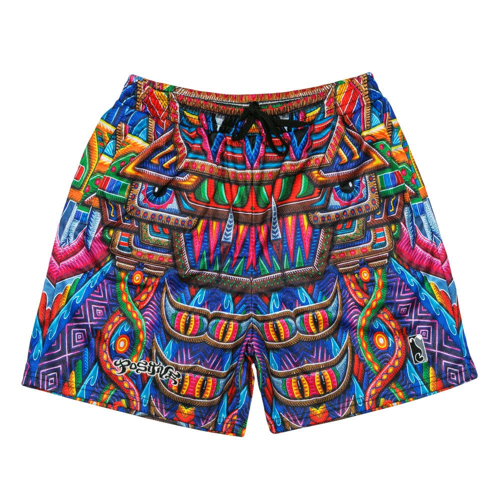 Chris Dyer Freesponsable Rainbow Mesh Shorts: Multi / Mesh Shorts / S